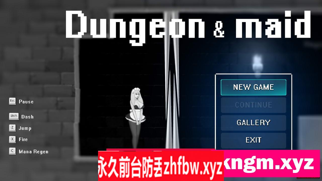【ACT/全动态】 女仆和地牢：Dungeon&Maid 1080HD完整版+全CG档【PC/1.4G】