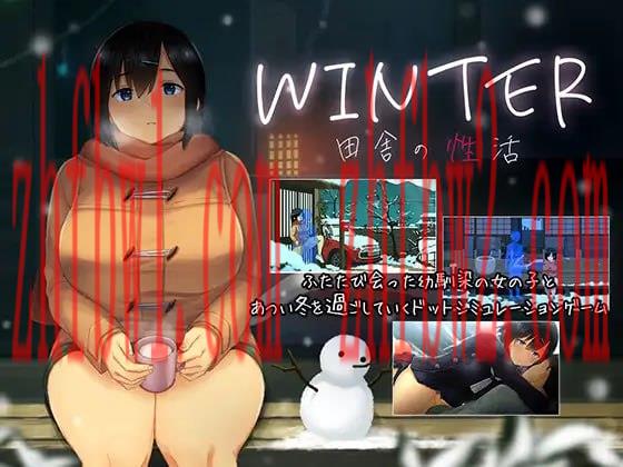 【精品SLG/中文/像素动态】冬日-乡间性活-v25.05.30（Build.18670397）【PC+安卓/1.7G】illusion中国i社Steam游戏下载