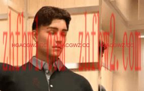 【欧美SLG/汉化/动态】法律学院S1 AI版【PC+安卓/9.86G/更新】Law School [Season 1]illusion中国i社Steam游戏下载